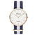 Relojes Nylon Watch