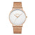 Classic Steel Mesh Watch