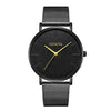 Classic Steel Mesh Watch